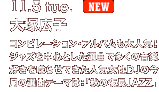 ��ˍL�q