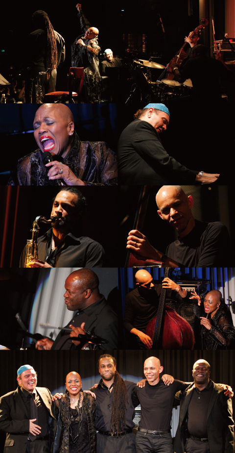 fB[EfB[EubWEH[^[-DEE DEE BRIDGEWATER_