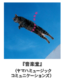 쌰qwyxi}n~[WbNR~jP[VYj