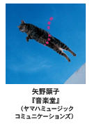 쌰q-AKIKO YANOwyxi}n~[WbNR~jP[VYj