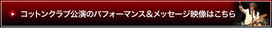 iCEW[X-NILE RODGERS̉f
