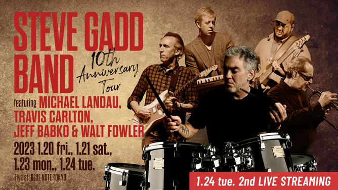 STEVE GADD