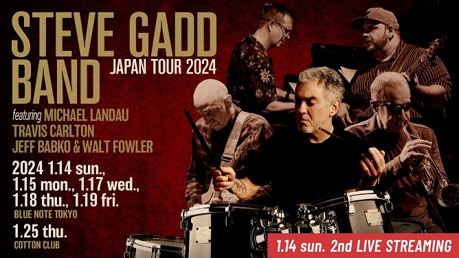 STEVE GADD