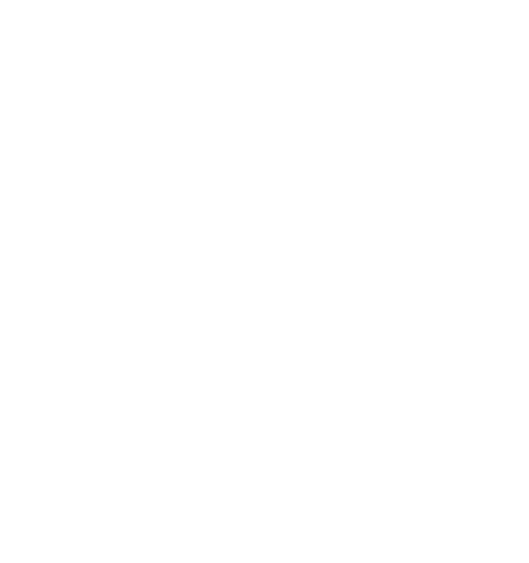 THE BRAND NEW HEAVIES