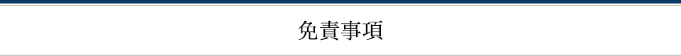 免責事項
